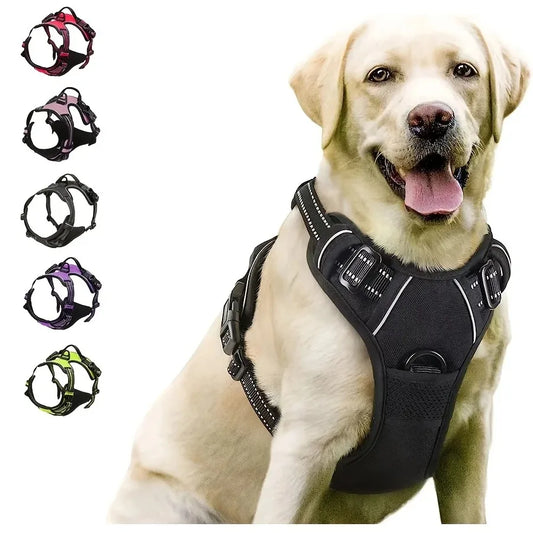 Dog Big Vest Harness Set for Training & Walks | Tenini Strive Pet