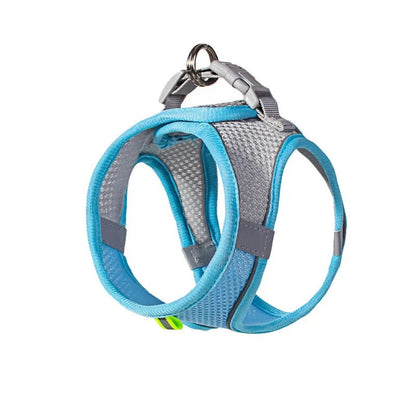 Adjustable Dog Harness for Small Dogs & Puppies | Tenini Strive Pet