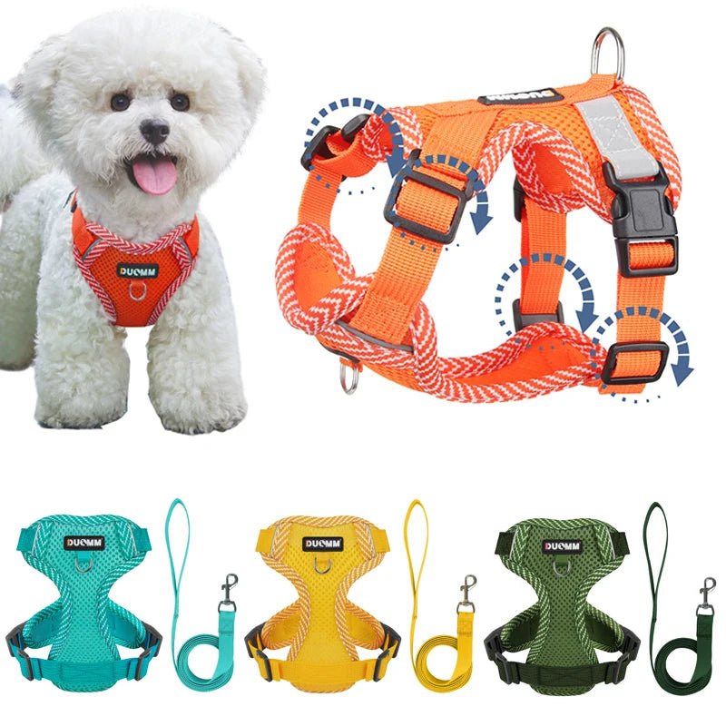 Adjustable Dog Harness Leash Set for Small Pets | Tenini Strive Pet