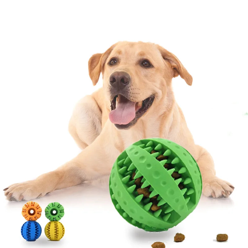 Dog Ball Bite-Resistant Chew Toy for Small Dogs | Tenini Strive Pet