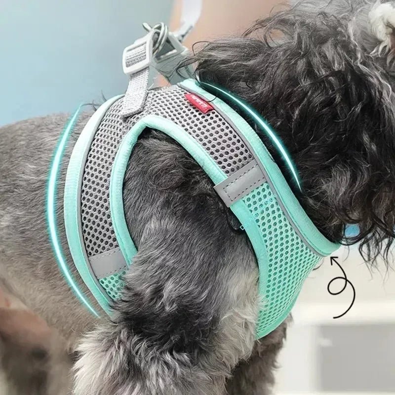 Adjustable Dog Harness for Small Dogs & Puppies | Tenini Strive Pet