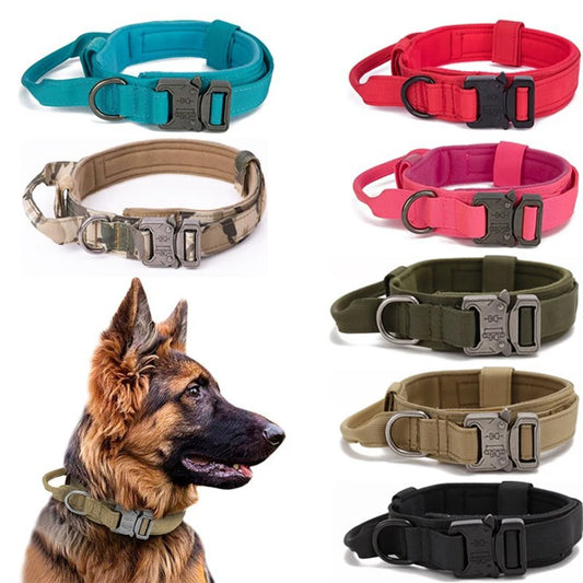 Nylon Dog Collar Leash Set