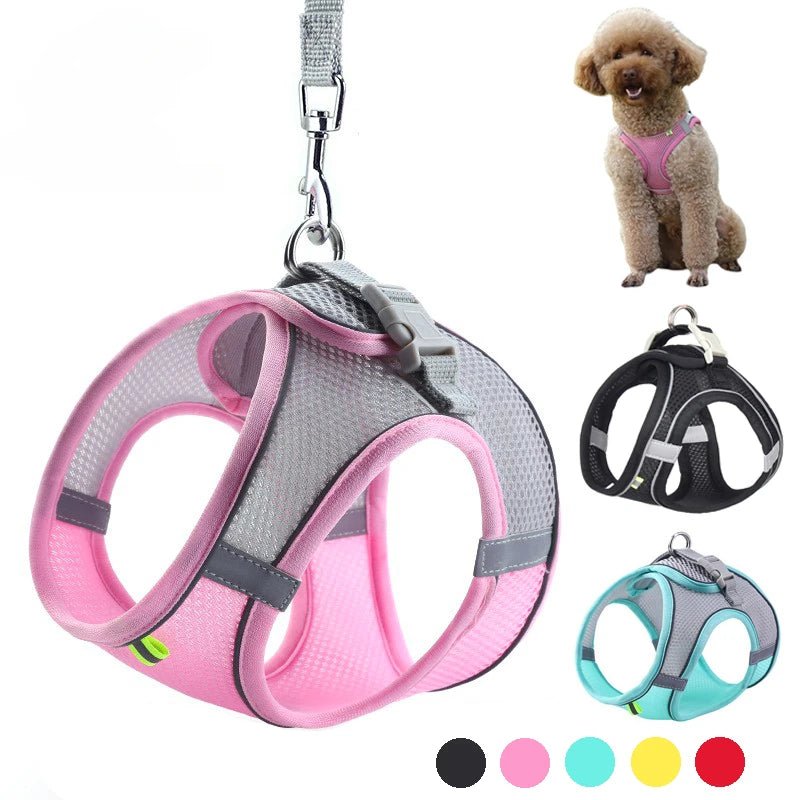 Adjustable Dog Harness for Small Dogs & Puppies | Tenini Strive Pet