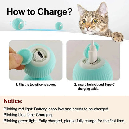 Cat Gravity Moving Car Toy for Pets | Tenini Strive Pet