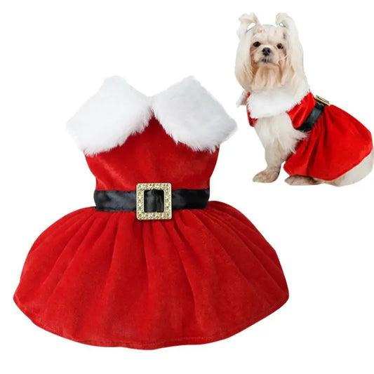 Dog Santa Claus Suit