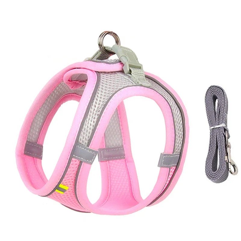 Adjustable Dog Harness for Small Dogs & Puppies | Tenini Strive Pet