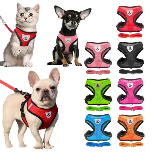 Dog Harness Walking Lead Leash