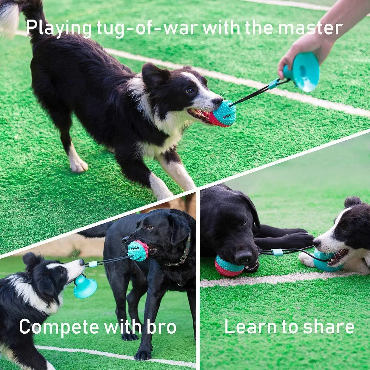 Dog Tug Ball Teething Toy