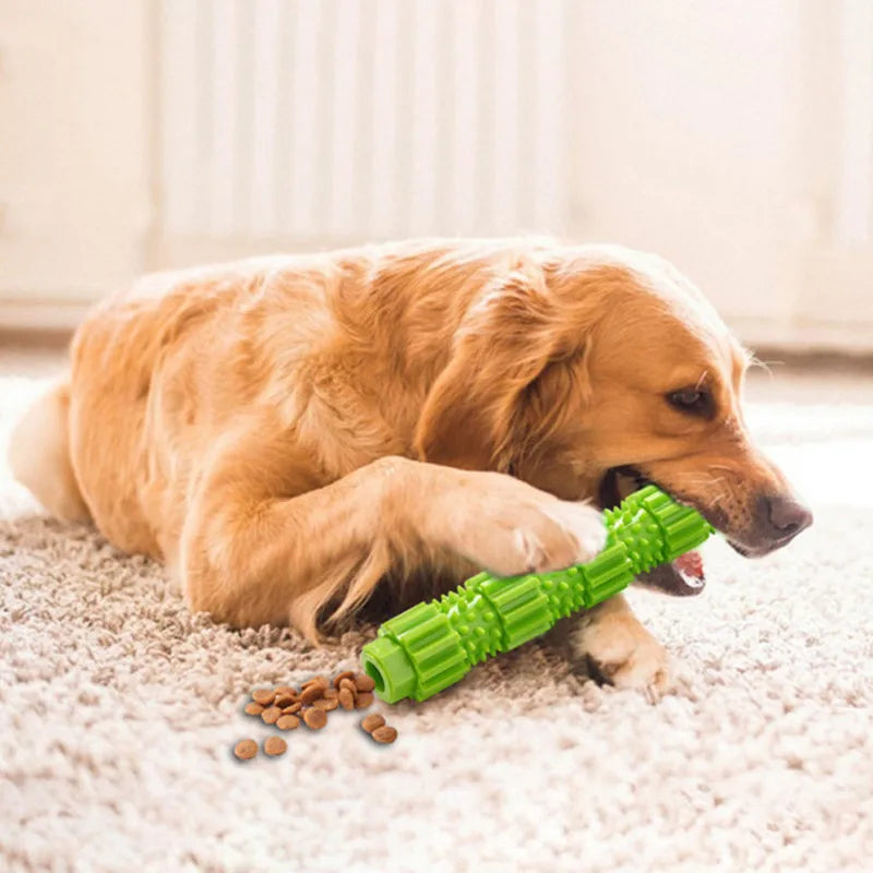 Dog Treat Dispensing Chew Toy