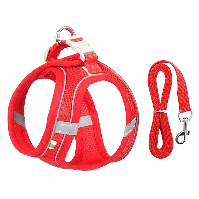 Adjustable Dog Harness for Small Dogs & Puppies | Tenini Strive Pet