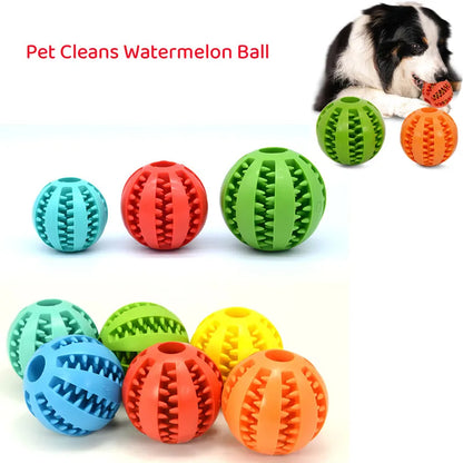 Dog Ball Bite-Resistant Chew Toy for Small Dogs | Tenini Strive Pet