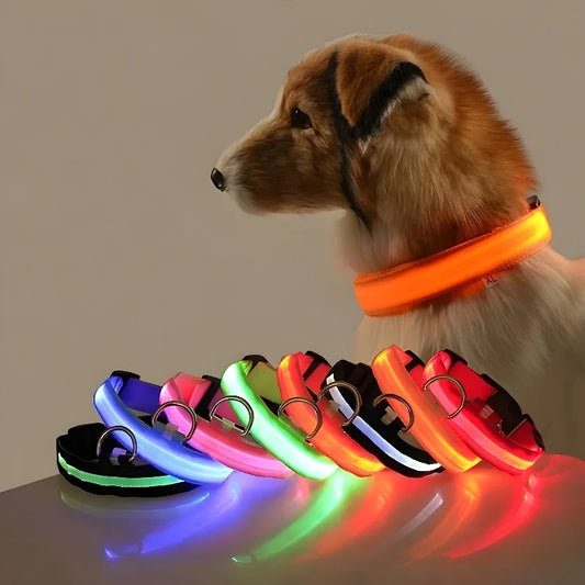 Dog Nylon LED Night Safety Collar