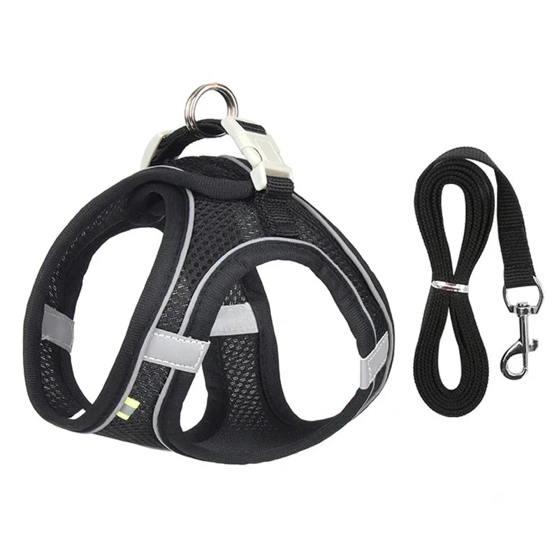 Adjustable Dog Harness for Small Dogs & Puppies | Tenini Strive Pet