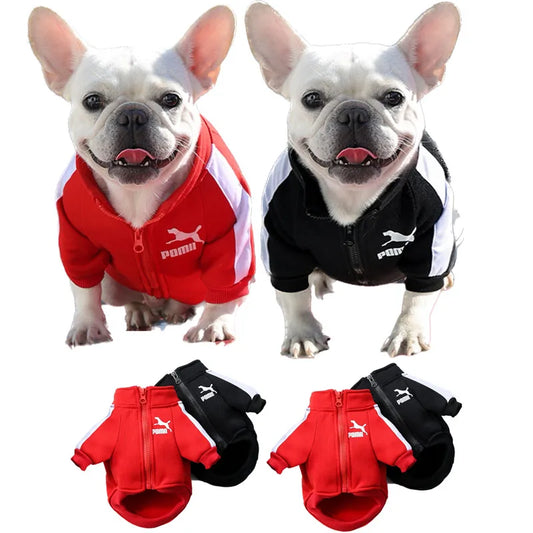 Winter Baseball Dog Jacket