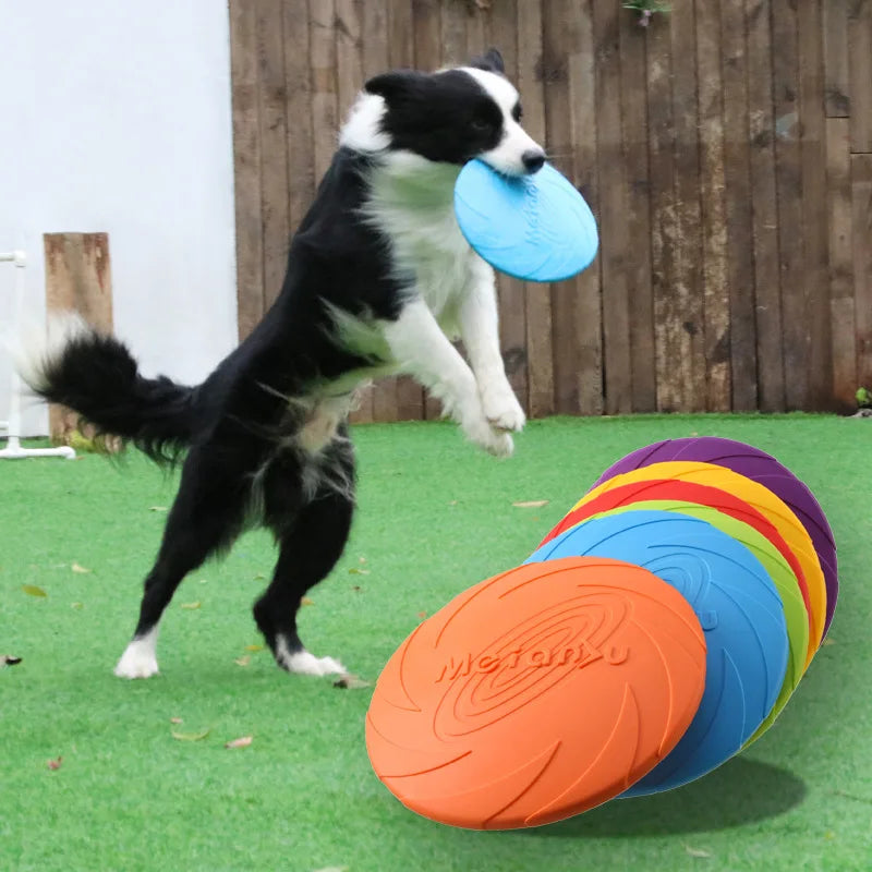 Dog Flying Disc Toy for Training & Play | Tenini Strive Pet