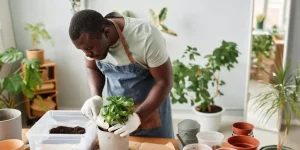 What Are the Best Soil Mixes for Indoor Gardening?