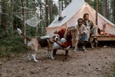 What Are the Best Pet Tents for Outdoor Camping With Your Dog?