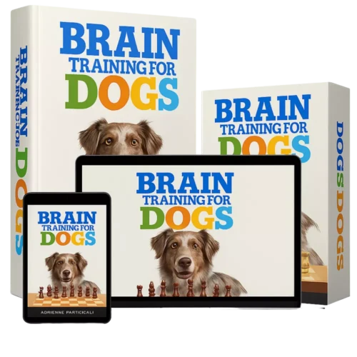 Brain Training for Dogs™ – Unlock Your Dog’s True Potential