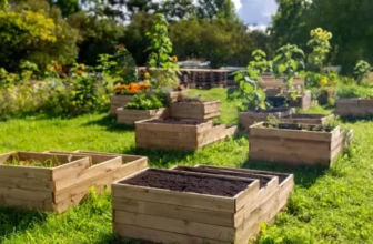What Are the Best Tips for Designing Raised Garden Beds?