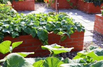 What Are the Benefits of Raised Garden Beds?