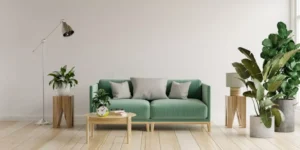 How to Create a Zen Space With Indoor Plants