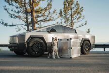 How Do You Pick the Right Dog Crate for Travel?