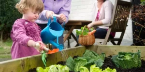 How to Transition Your Garden Between Seasons